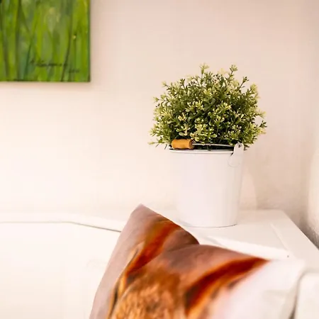 Apartment Haus An Der Acher