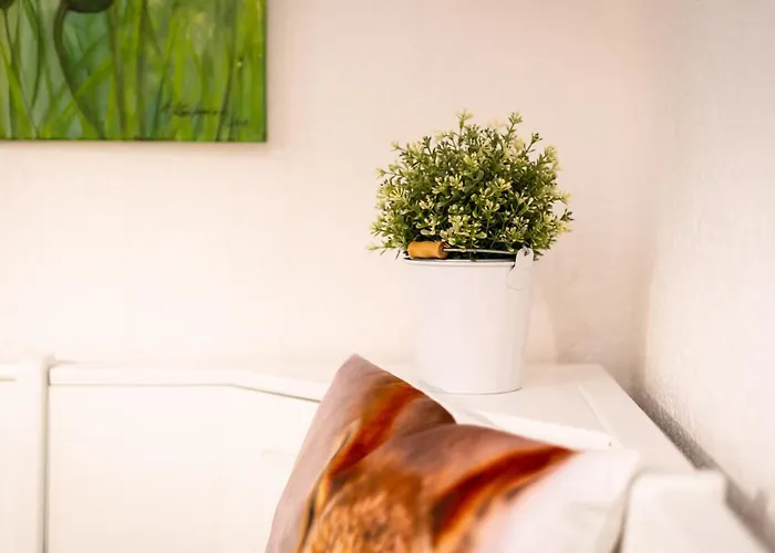 公寓 Haus An Der Acher